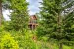 Enjoy privacy and seclusion with this forested property